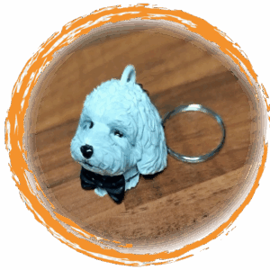 Llavero Pet