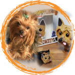 FUNKO PET