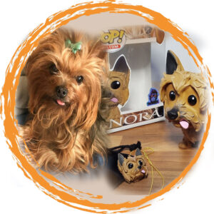FUNKO PET