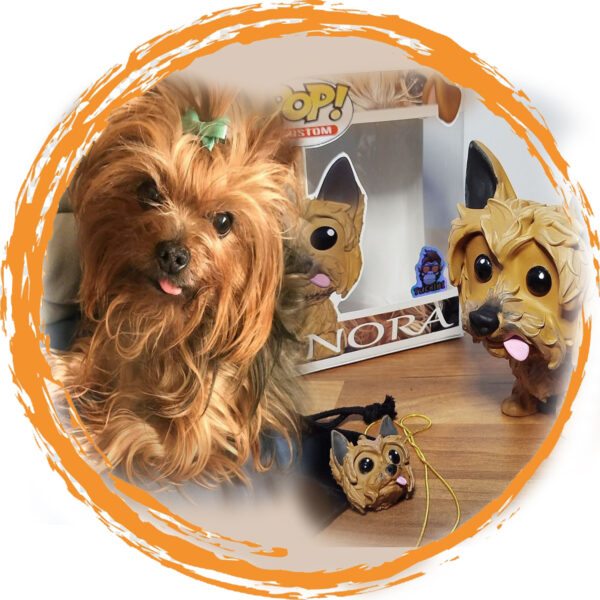 FUNKO PET