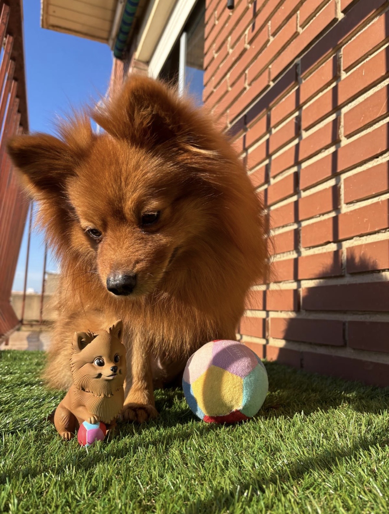 Perro jugando con pelota junto a figura 3D personalizada estilo funko